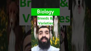 Breeds and Varieties  GCSE Science in a minute biology gcse stem selectivebreeding science [upl. by Ecnaled529]