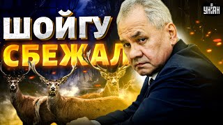 Шойгу СБЕЖАЛ Клан оленевода обложили со всех сторон Путин готовит УБИЙСТВО Кужугетовича [upl. by Aicena]