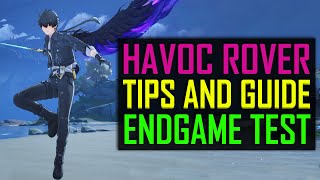 HAVOC ROVER GUIDE Explanation Wuthering Waves [upl. by Emelen]