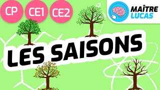 Les saisons CP  CE1  CE2  Cycle 2  Questionner le monde  Se repérer dans le temps [upl. by Ayhdnas]