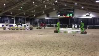 Gypsy Vanner jumping at Spruce Meadows [upl. by Kerekes]