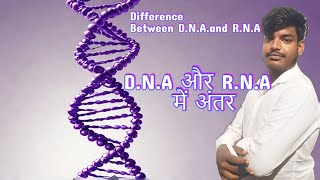 DNA और RNA में अंतर  Differences Between DNA and RNA  Wifi Book dna rna neet boardexam class [upl. by Cline]