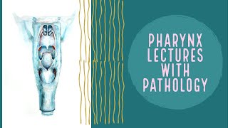 PHARYNX lecture 1 ANATOMY AND PHYSIOLOGY OF PHARYNX made easy [upl. by Sarette]