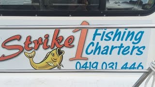 Strike 1 Fishing Charters Adelaide South Australia [upl. by Gentille]