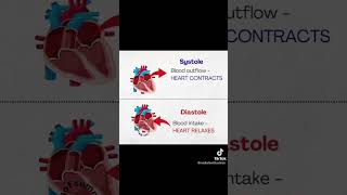 Systole and Diastole difference between systole and diastole heart blood science humananatomy [upl. by Ahsienel]