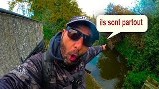 CARNAGE EN RIVIÈRE  CHAQUE LANCER UNE PRISE  😱🎣Session de FOU [upl. by Nestor]