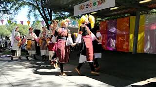 Queanbeyan Multicultural Festival 3 March 2024  Razigrana Makedonka [upl. by Janey]