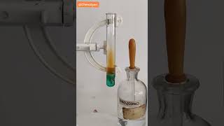 What happens when Copper Reacts with Nitric Acid Class 10 Science  Metals and Non Metals [upl. by Aemat986]