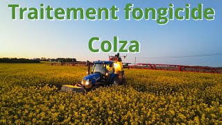 Traitement fongicide colza 2024 [upl. by Emee]