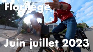 Florilège vélotaf juin juillet 2023 [upl. by Adnoyek901]