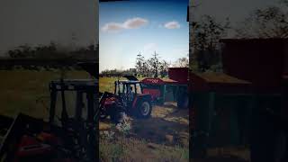 Rożucanie obornika rolnik mst farmingsimulator22 megakoliz [upl. by Bay]