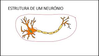 PROVA DE BIOLOGIA ACESSO UAN 2023 HISTOLOGIA ANIMAL BIOEUGÃŠNESIS [upl. by Ebneter250]