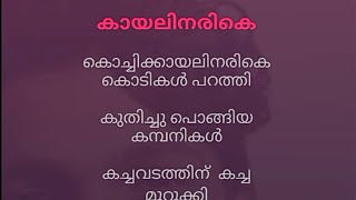 Kayalinarike karaoke with lyrics malayalam Original Karaoke High Quality [upl. by Asiret]