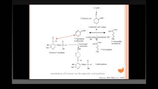 Genetic Basis of PyridoxineResponsive Neonatal Epilepsy in Consanguineous Families [upl. by Leandre]