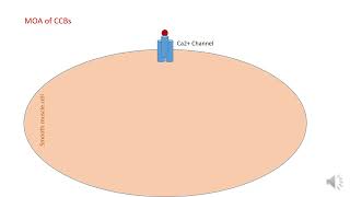 Pharmacology of CCBs [upl. by Cyndie]