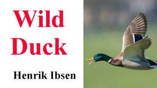 Wild Duck  by Henrik Ibsen  Brief Summary [upl. by Ogawa787]