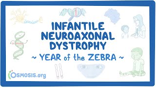 Infantile neuroaxonal dystrophy Year of the Zebra [upl. by Araid515]