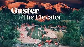 Guster  quotThe Elevatorquot Official Lyric Video [upl. by Roshan]