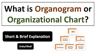 What is Organogram or Organizational Chart [upl. by Alejandrina]