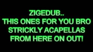 ACAPELLA REMIX FOR ZIGEDUB [upl. by Nettie700]