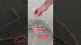 Fishing at Oak Island Nc Great time to fish They are there [upl. by Lenor]