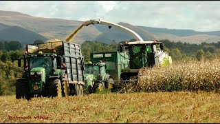 Maize Harvest with Claas and John Deere  nearly Finished the Field [upl. by Aitan]