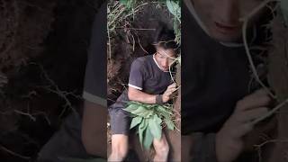 Hunting wild rats 🐀 😆 funny clipsfunny video missed all three [upl. by Migeon827]