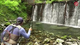 1 introduction  MasterTenkara  tenkara fly fishing [upl. by Bernard]