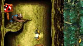 DKC3 105 Run pt 46  Level 84 Swoopy Salvo [upl. by Meingoldas]