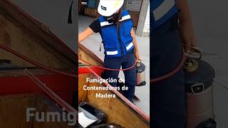 Fumigación de Contenedores de Madera ceplafumigaciones controldeplagas fumigaciones [upl. by Cord]