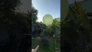 Baloon Craft Easy Baloon Craft with Disposal craft baloon balooncraft art trending viral [upl. by Gerri]