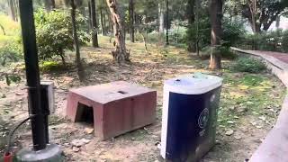 Nehru park New Delhi vlog 031124 [upl. by Brady297]