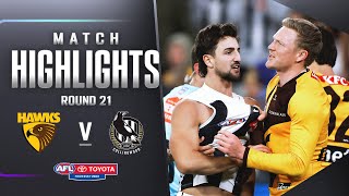 Hawthorn v Collingwood Highlights  Round 21 2023  AFL [upl. by Doria]