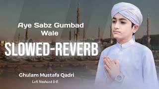 Aye Sabz Gumbad wale Slowed amp Reverb Heart Touching Naat  Ghulam Mustafa Qadri  Lofi Nasheed SR [upl. by Doreen]