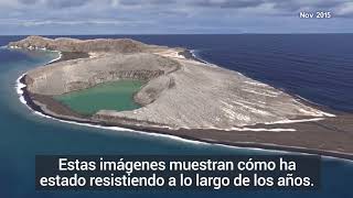 Un volcán submarino ha creado una nueva isla misteriosa en el Pacífico Sur [upl. by Elyak]