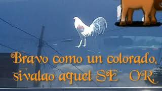 Gallo De La FN LETRA  Nicko Rodriguez [upl. by Enyluqcaj743]