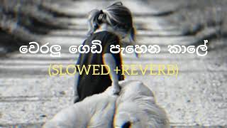 weralu gedi pahena kale Slowed reverb රැට තනියේම අහන්න slowed reverb chamararanawaka song 💝🫣 [upl. by Delores]