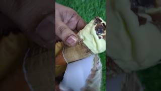 Joy Twister Butterscotch Cone Icecream unwrapping shorts plzsubscribe youtubeshorts [upl. by Raines]