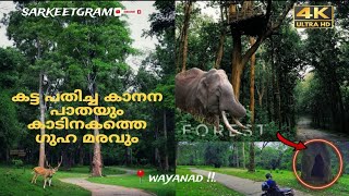 ഇങ്ങിനൊരു ഗ്രാമപാത വയനാട് ഉള്ളത് അറിയാമോMadaparamb tree cave forest pulpally forest [upl. by Faxan]