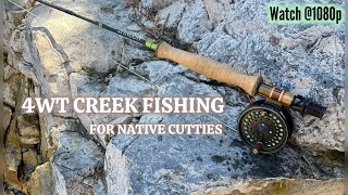 4WT Cutthroat Fishing [upl. by Lehcem834]