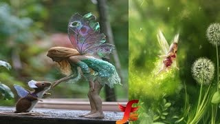 Top 5 Real Fairies Caught On Camera amp Spotted In Real Life Evidence [upl. by Grayce65]