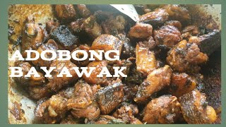 Bayawak  kawkwati leaves adobo exotic [upl. by Eidok]