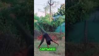 Cartwheel Karneka sehi tarika 2024 How To Learn CartwheelCartwheel Tutorial trending shorts [upl. by Minny]