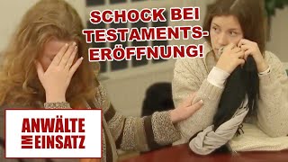 Schock bei Testamentseröffnung Uneheliche Tochter erbt alles 12 Anwälte im Einsatz  SAT1 [upl. by Aztirak746]