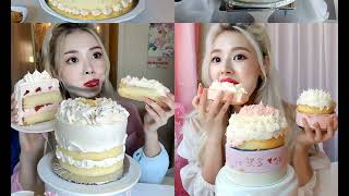 Korean Lunchbox cake ASMR [upl. by Natsud899]