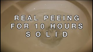 Peeing Sound for TEN HOURS  Sound to Make You Pee  High Quality Recording [upl. by Hach]