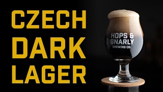 How to Brew a Czech Dark Lager  Brewtools B40  EP43 [upl. by Awahsoj861]