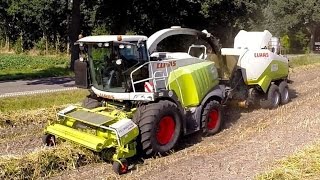 DUNAGRO uit Oude Pekela met CLAAS Jaguar 970 in Hemp [upl. by Abe531]