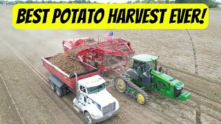 Best potato harvest ever 2023  How potato harvest works [upl. by Maxama758]