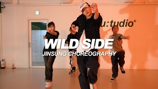 Normani  Wild Side  Jinsung Choreography [upl. by Riana]